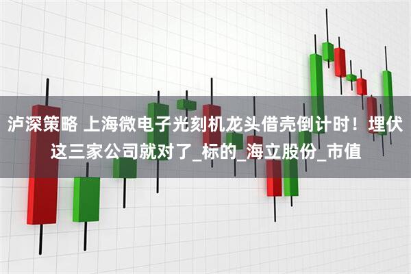 泸深策略 上海微电子光刻机龙头借壳倒计时！埋伏这三家公司就对了_标的_海立股份_市值