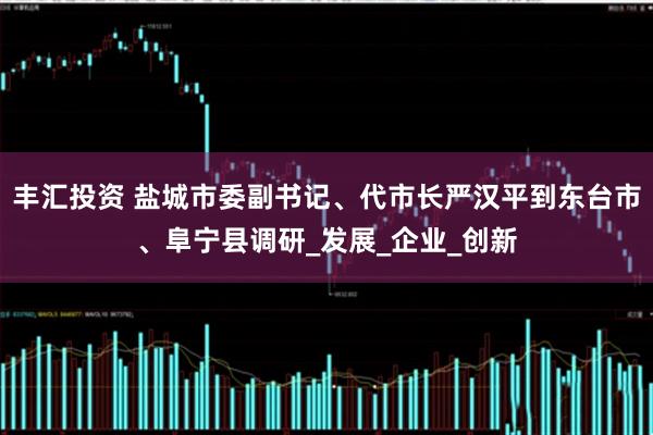 丰汇投资 盐城市委副书记、代市长严汉平到东台市、阜宁县调研_发展_企业_创新