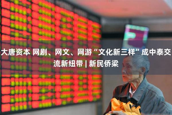 大唐资本 网剧、网文、网游“文化新三样”成中泰交流新纽带 | 新民侨梁
